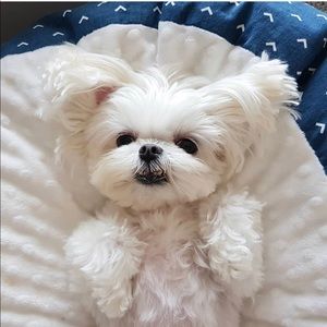 Meet your Posher, Joni